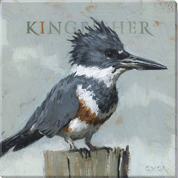 Darren Gygi Home Collection Kingfisher Giclee Wall Art On Canvas Print ...